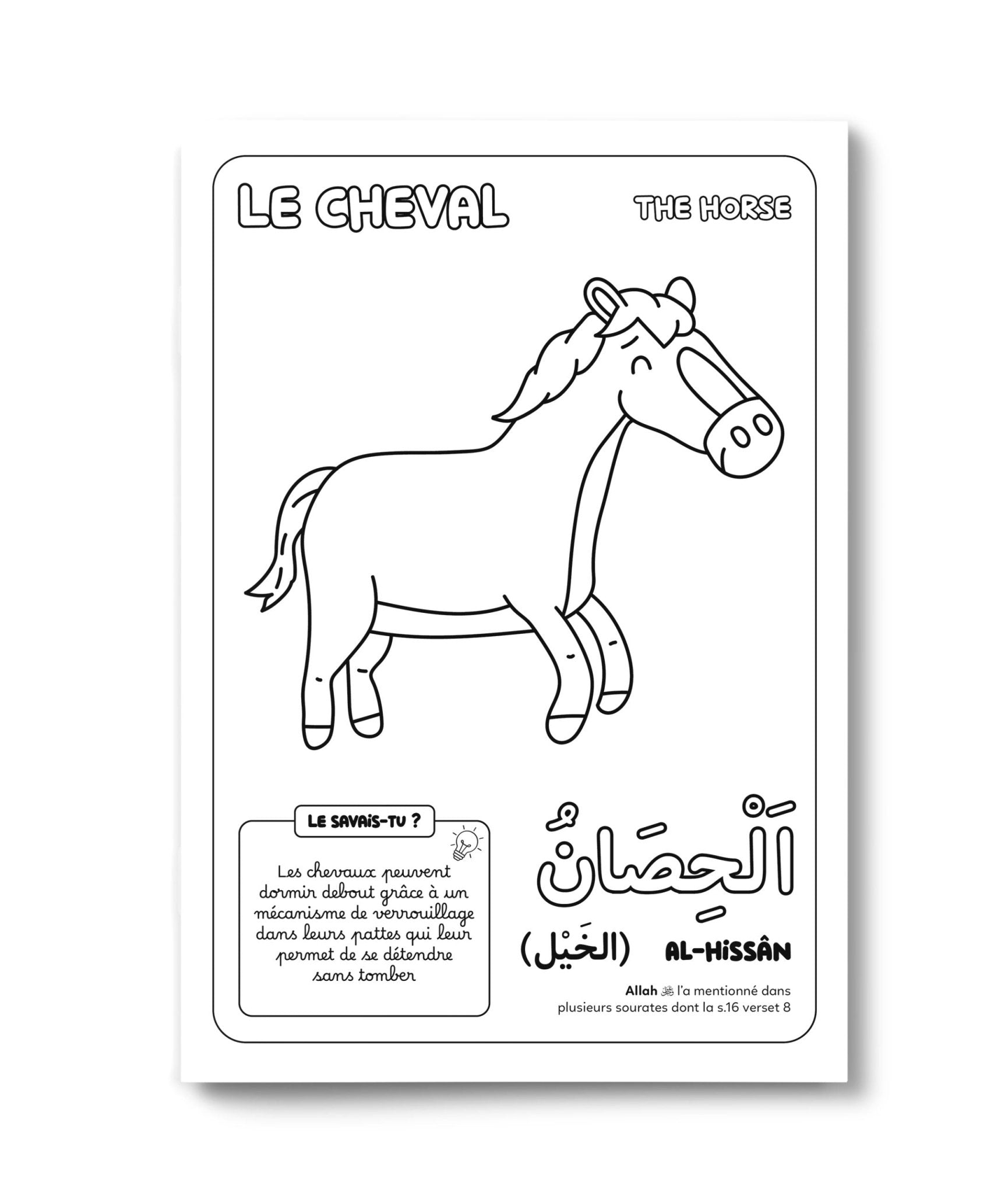 Colorie et Apprends : Les 30 animaux cités dans le Coran - Dès 4 ans - Édition : DeeniLearn - KokechliDeeniLearn