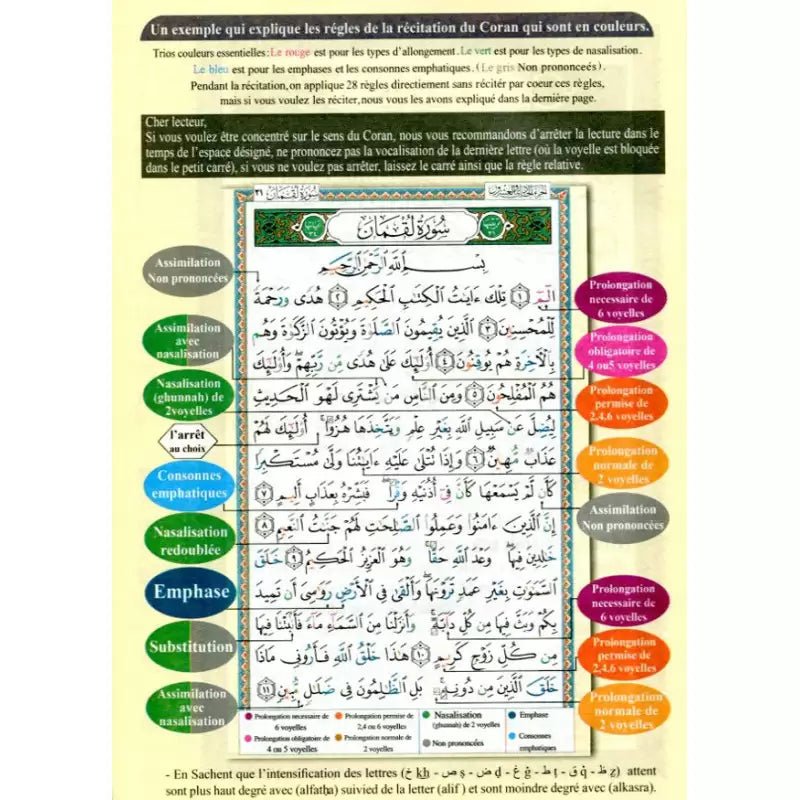 Coran Al - Tajwid – Juzz Tabarak et Amma (Chapitres 29 et 30) – avec Phonétique et Traduction en Français - KokechliSana