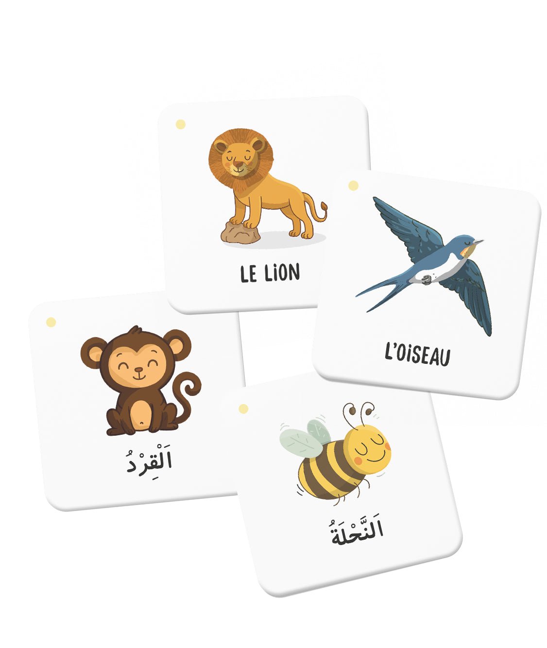 Mémo des animaux du Coran – Jeu éducatif dès 3 ans (DeeniLearn) - KokechliDeeniLearn