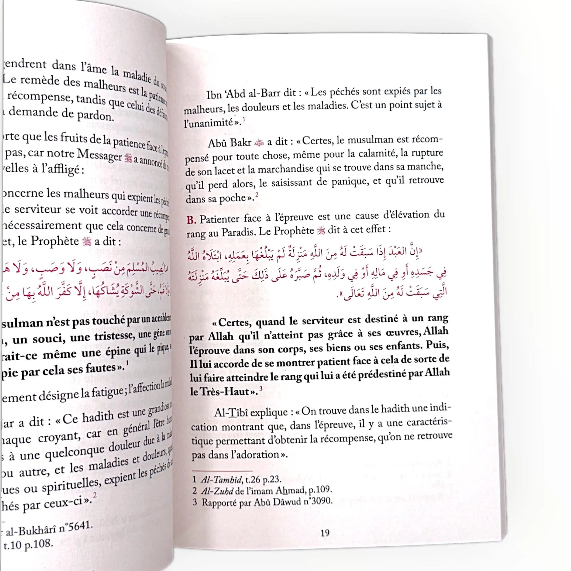 Ne sois pas triste, Allah est ton Seigneur - KokechliAl Hadîth