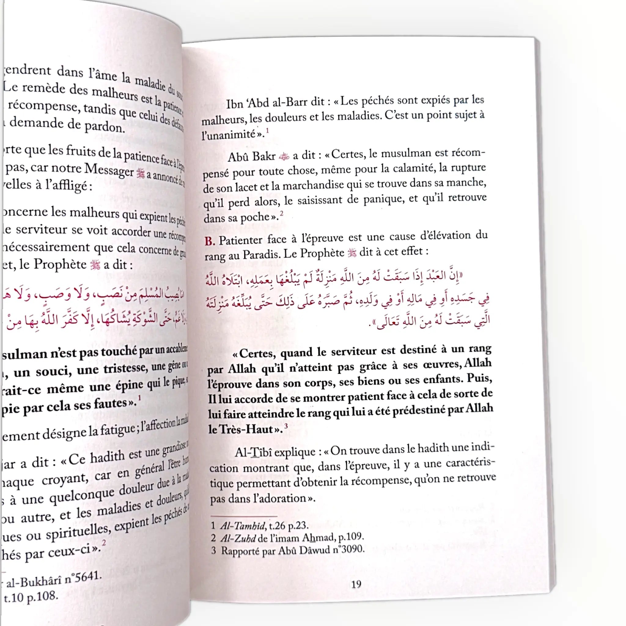 Ne sois pas triste, Allah est ton Seigneur - KokechliAl Hadîth